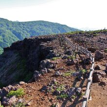 断崖沿いの遊歩道