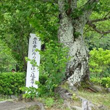 専用駐車場です。