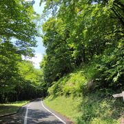 栃木県で一番大きい都市公園