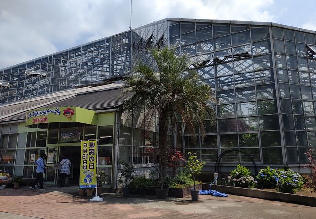 とちぎ花センター クチコミ アクセス 営業時間 栃木 壬生 都賀 フォートラベル とちぎ花センター クチコミ アクセス 営業時間 栃木 壬生 都賀 フォートラベル