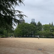 街の大きな公園