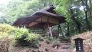 岩崎家所有の時代にツツジの古木で造られました