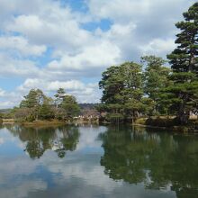 松が素晴らしい