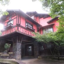 鮮やかな色彩です