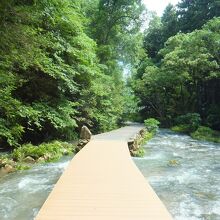 秋芳洞へ続く小道