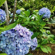 江島神社 奥津宮 