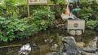 江島神社 銭洗白龍王 