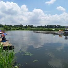 沼の脇からの他に桟橋の上(沼の中)からも釣ることができます