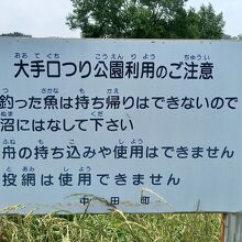 ヘラ鮒は持ち帰り禁止で放流もしています