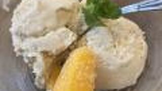 【八丈島】海風しいたけ【男飯食堂】