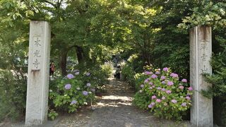 別名、あじさい寺