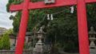 小田原　大稲荷神社 