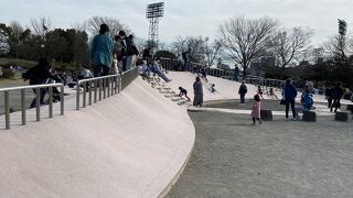 広々した公園です。