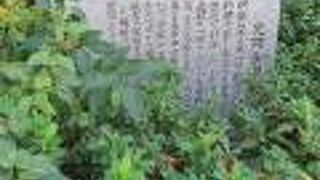 本町通り沿い、大阪府警本部の建物の南西側の植え込み