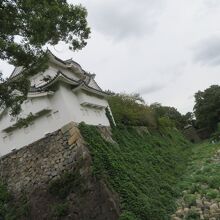 角の屋根が凝ってます