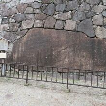 大きさが想像できません