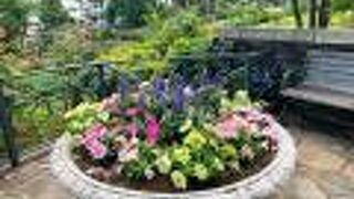 無料で楽しめるローズガーデン