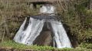 恵庭渓谷の大木の間から雄々しい姿で流れ落ちる滝