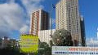 植樹で作られた、出世大名家康くん