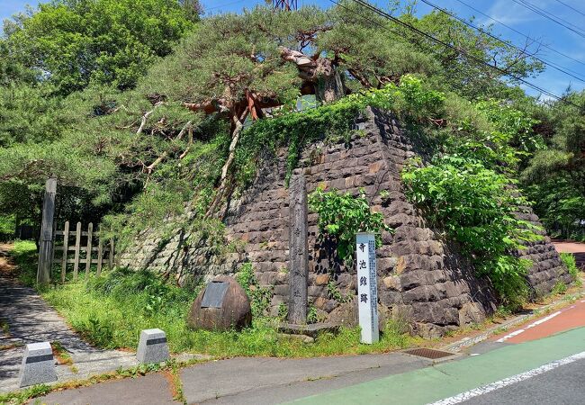 寺池館