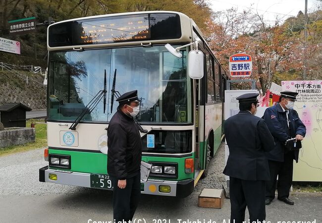 桜の時期は通常のバスが走っていません