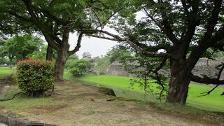 広くて廻りきれませんでした