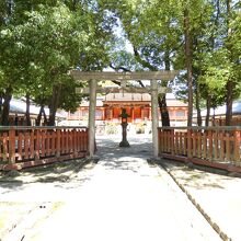 休ヶ岡八幡宮