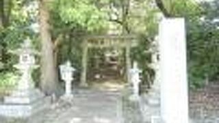 唐招提寺と薬師寺の間