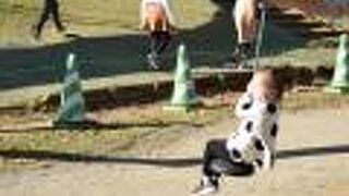 自然たっぷりの場所