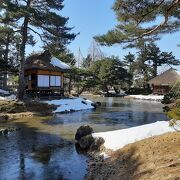 歴史ある静かな日本庭園。戊辰戦争もくぐってます。