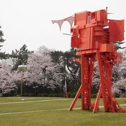 桜が公園内の彫刻を彩っていました。