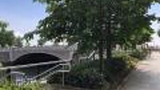 木が植えられているだけの公園