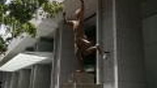 箱根駅伝マニア必見のスポット