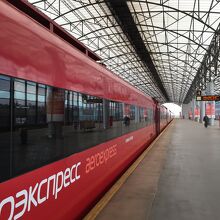 シェレメーチエヴォ国際空港駅