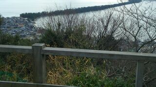 自然の力はすごい！！