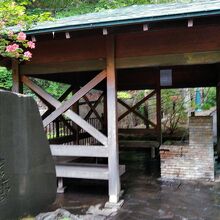 蛇口は２つあって、左が「温泉」、右が「水」なので要注意！