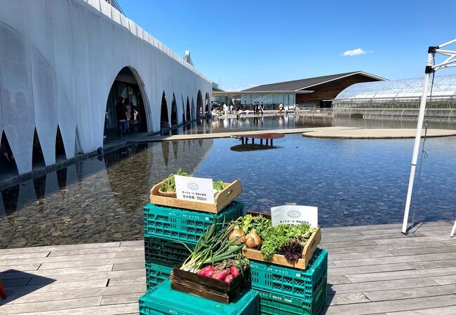 緑や水をうまく使ったデザインの空間が素敵