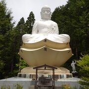 階段を上り続けるとそこには （井川大仏） 