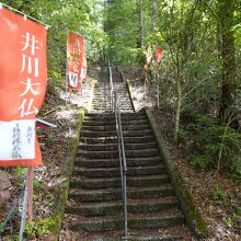 入口からは階段の連続