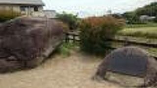 よく見ると亀です