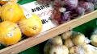 静岡県三島産の野菜