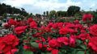 ホントに入園無料で良いんですか?