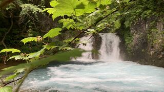 水の色がブルー！