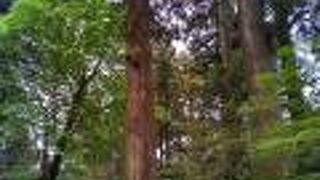 気を感じられる場所