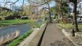 盛岡城跡近くを散策しました