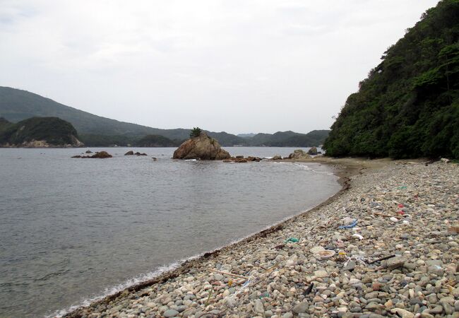 磯遊びも出来ます。