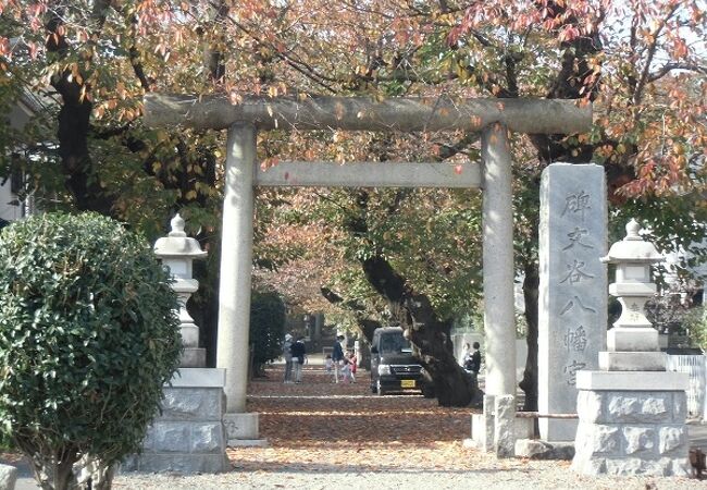 碑文谷八幡宮 クチコミ アクセス 営業時間 学芸大学 都立大学 フォートラベル