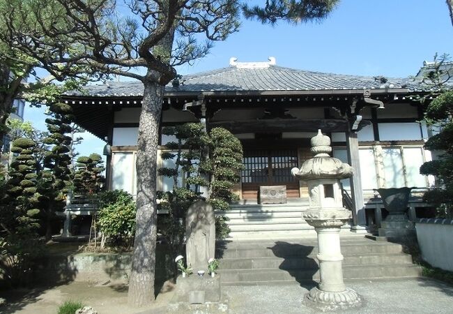 墓地への参道は綺麗に整備されていて気持ちよい