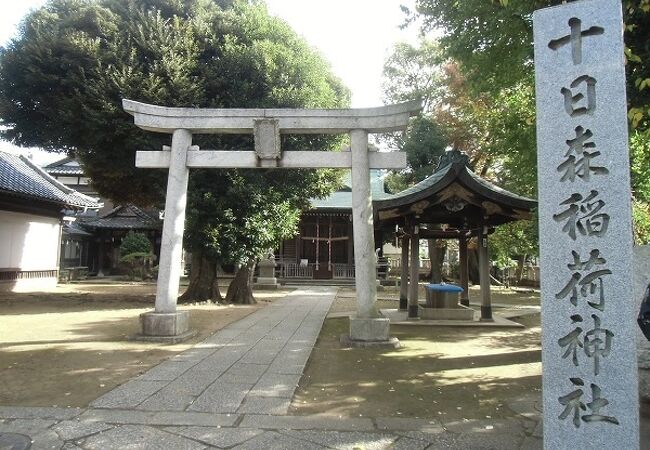 十日森稲荷神社 クチコミ アクセス 営業時間 学芸大学 都立大学 フォートラベル 十日森稲荷神社 クチコミ アクセス 営業時間 学芸大学 都立大学 フォートラベル