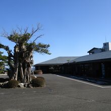 屋久島グリーンホテル